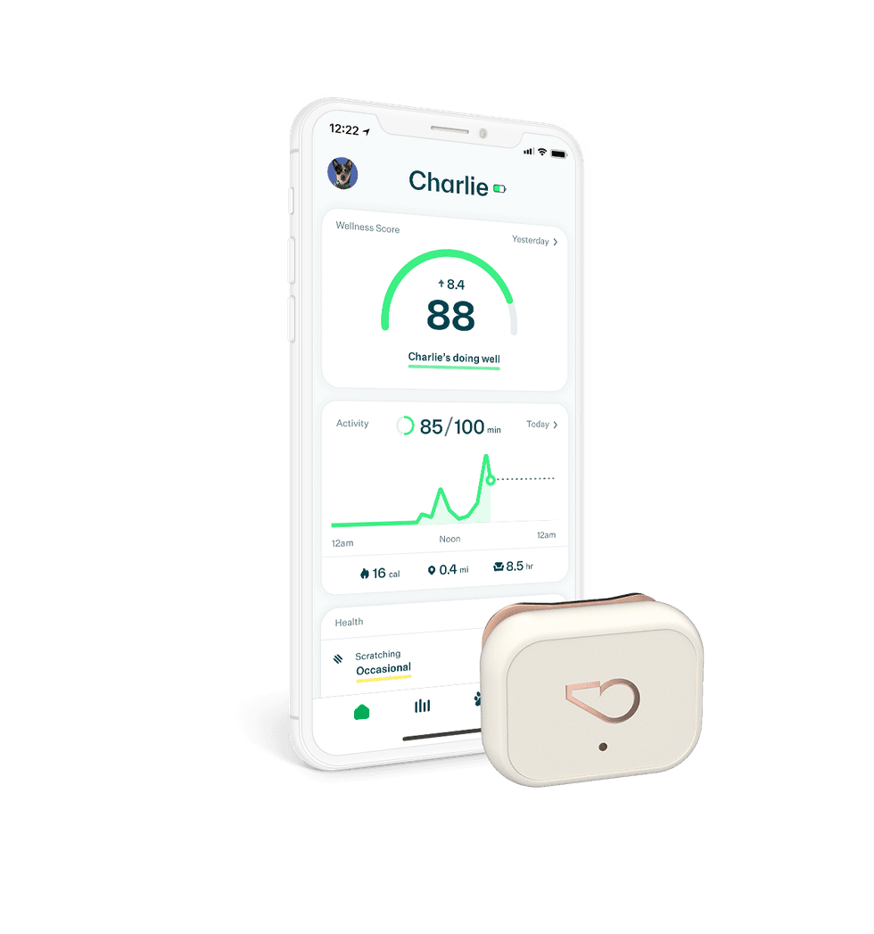 a photo of a smartphone and Whistle Health 2.0 Smart Device