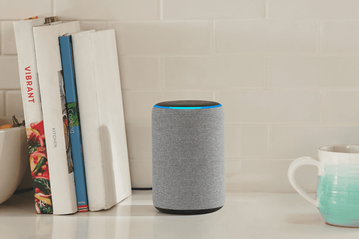 a photo of Echo smart speaker on a shelf