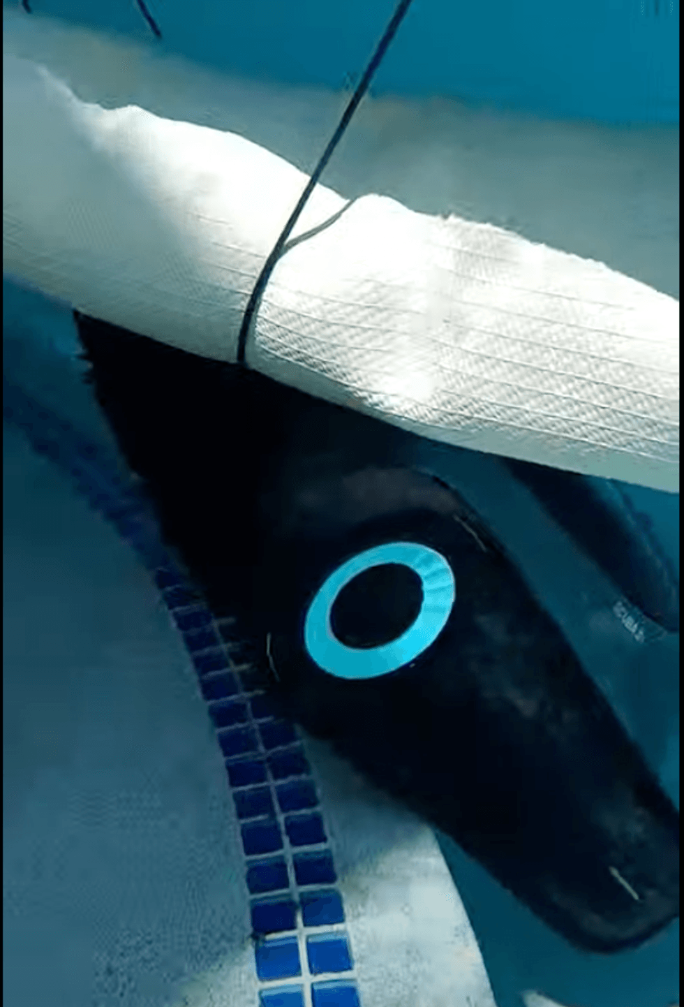 a photo of the Aiper Scuba S1 Cordless Robotic Pool Cleaner cleaning underneath the poo