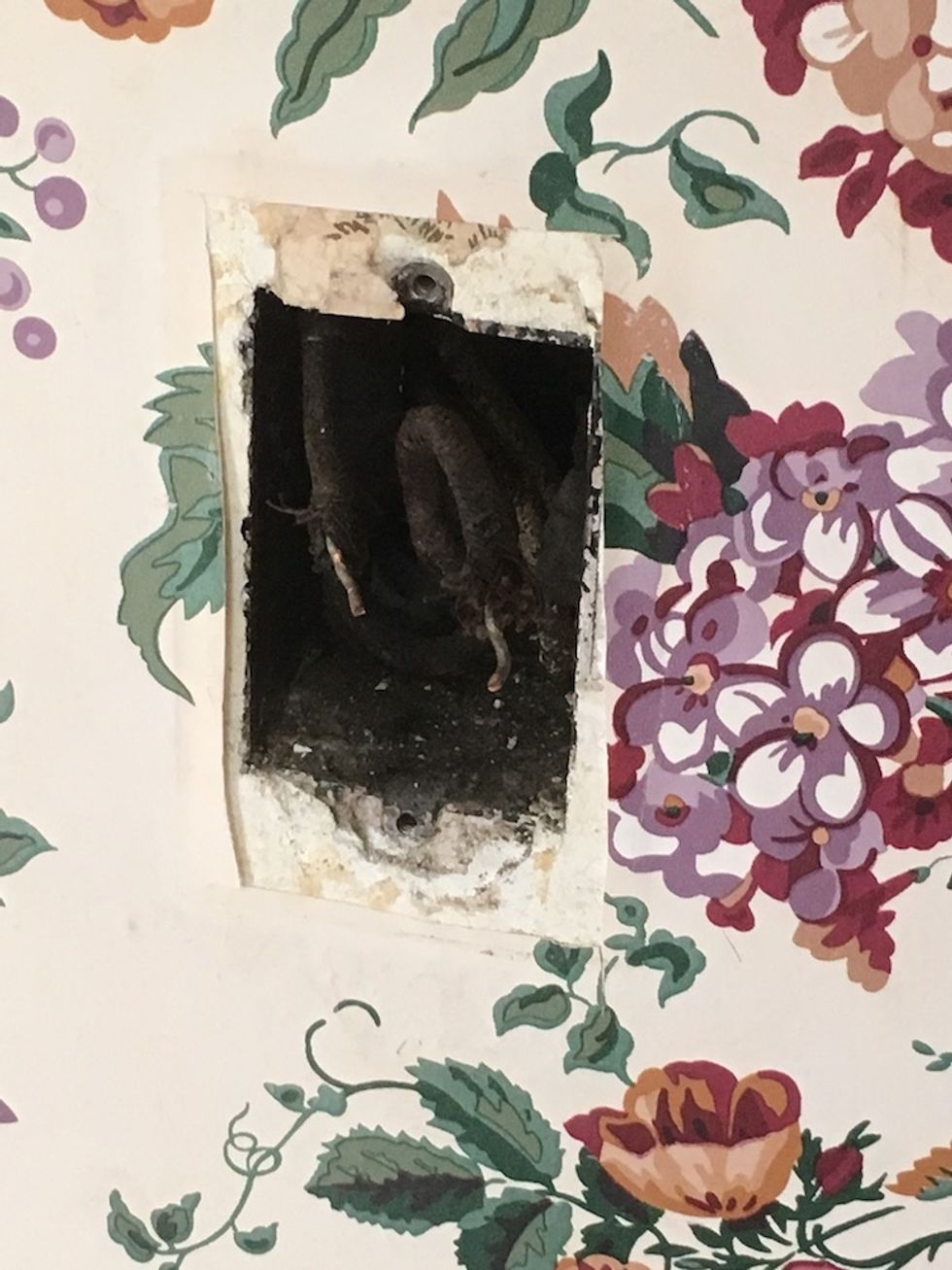 A photo of two wires in a wall switch exposed.