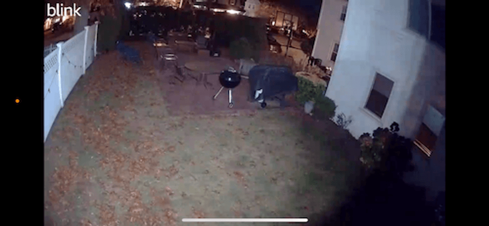 a photo of video feed in Blink app at night time with lights on