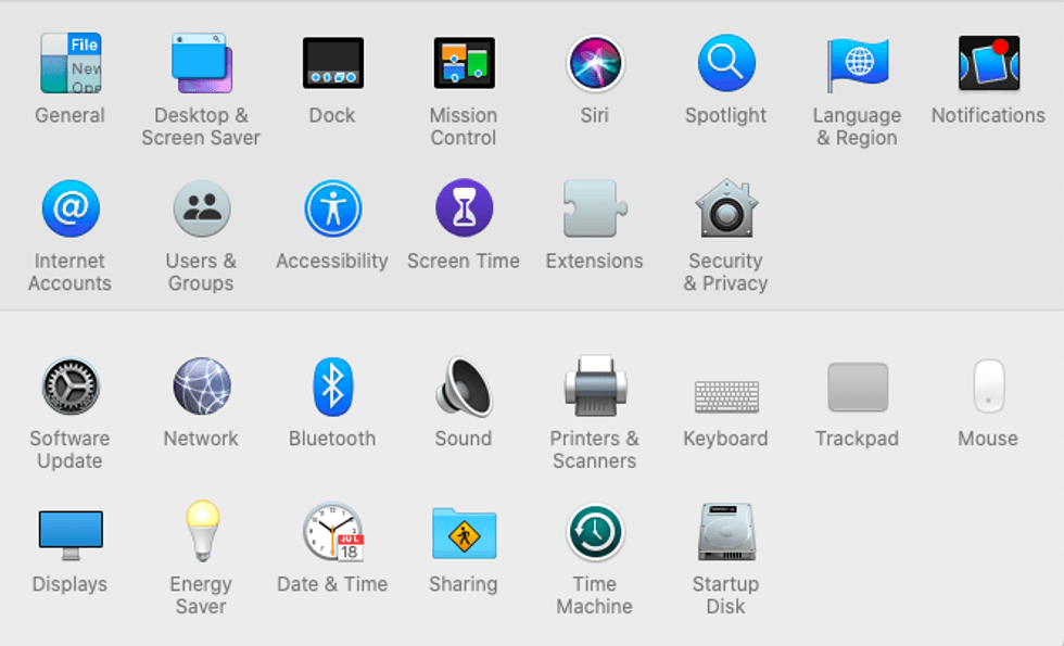 A screenshot of System Preferences open on macOS 10.15, Catalina