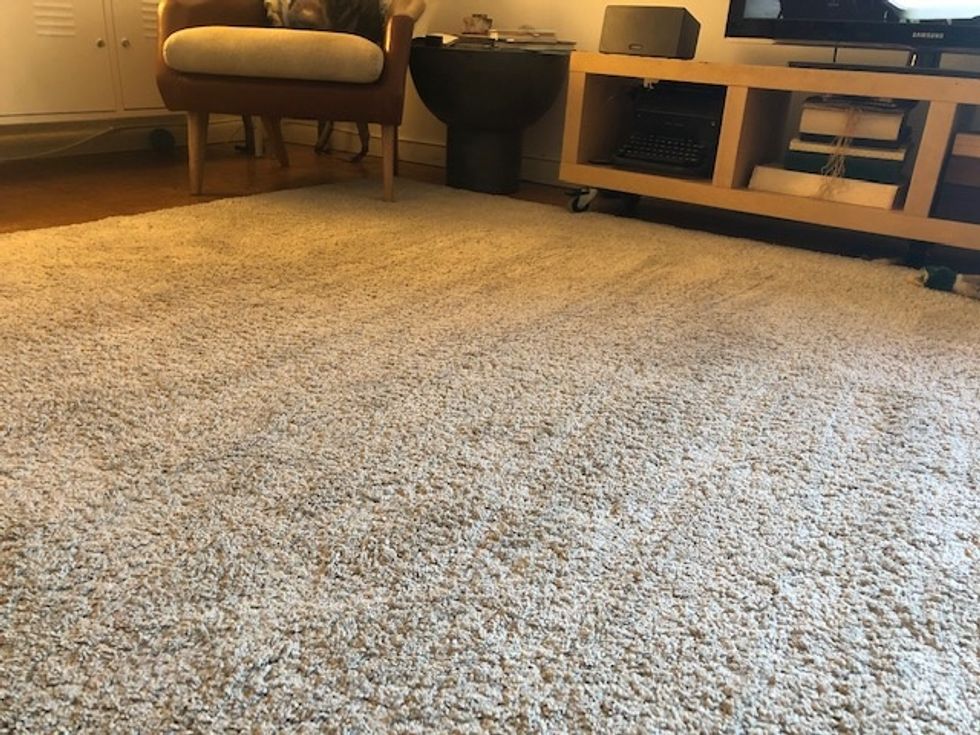 A white shag rug with vacuum marks across it