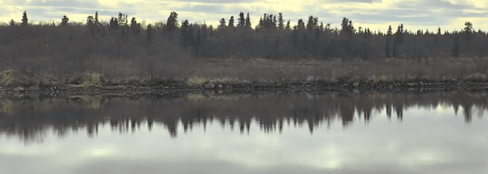 An image of the Nahnek River in Katmai National Park, Alaska which has a live webcam trained on it year-round.