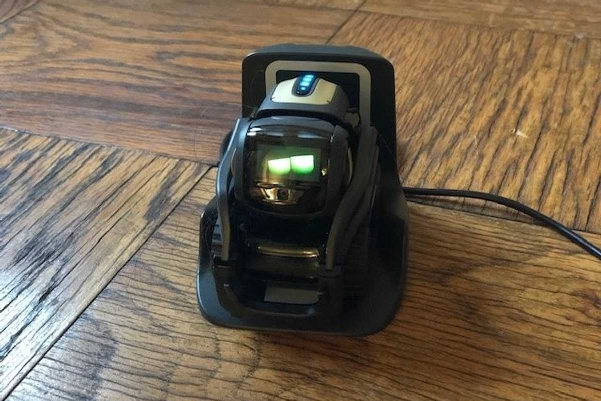 anki vector robot