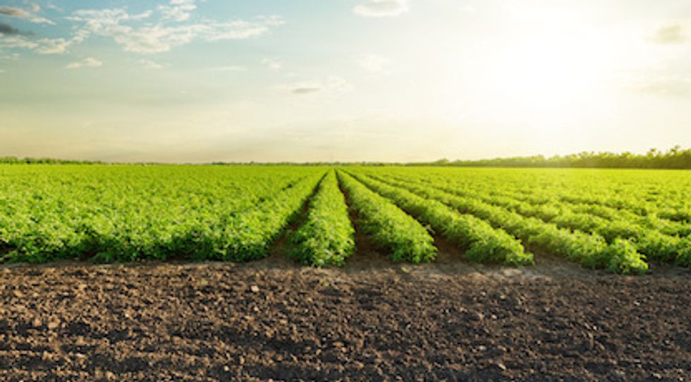 Arrow IoT is aimed at handling pest control on farms and agricultural clients