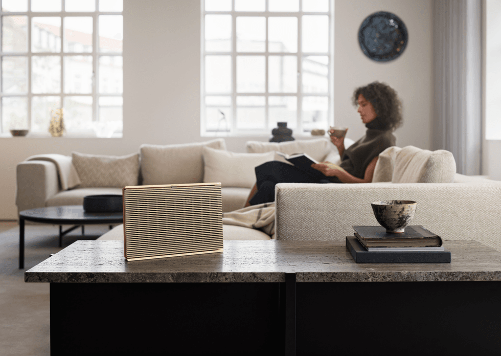 Bang & Olufsen Beosound Level