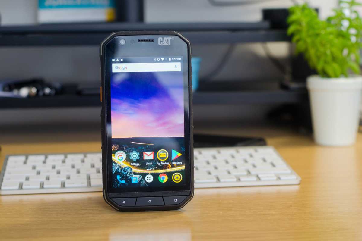 CAT S31