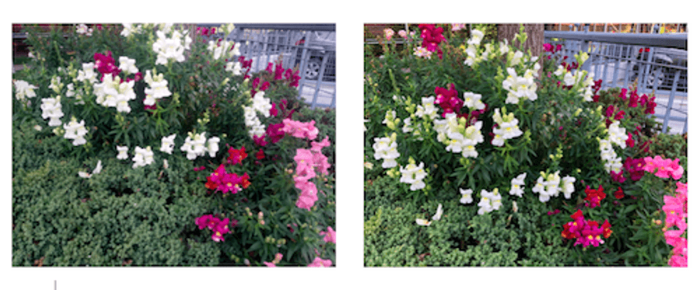 Cat S42 smartphone review