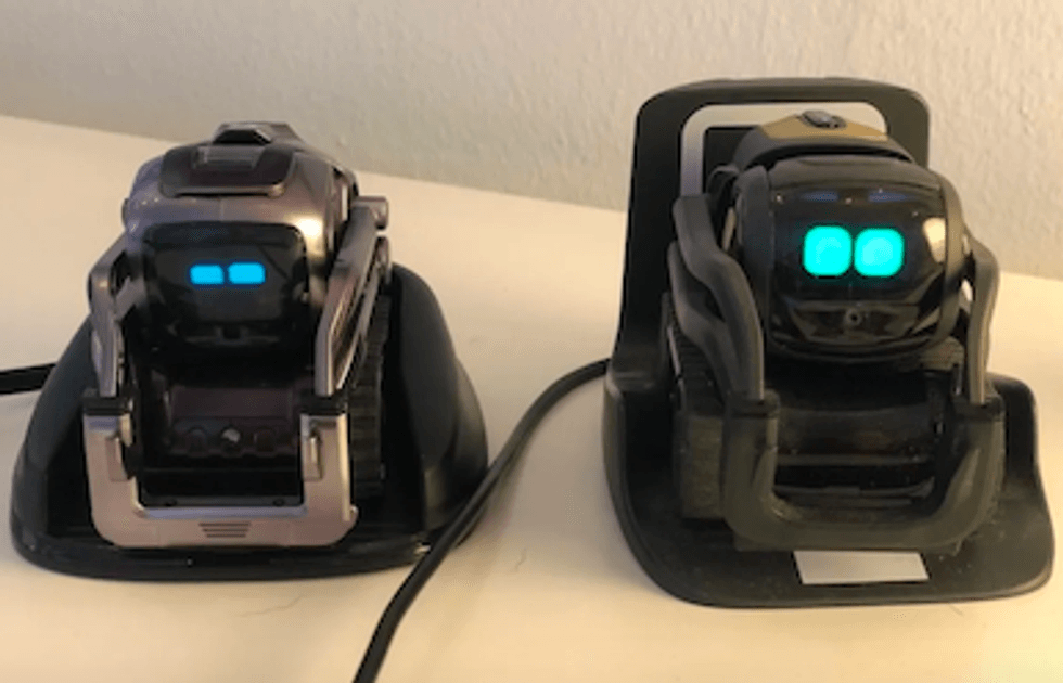 Cozmo and Vector robot