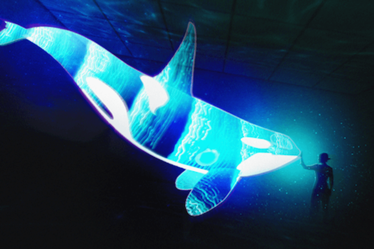 Critical Distance from the Tribeca Film Festival