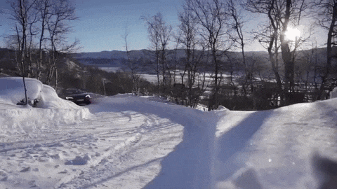 video of Tesla driving in the snow