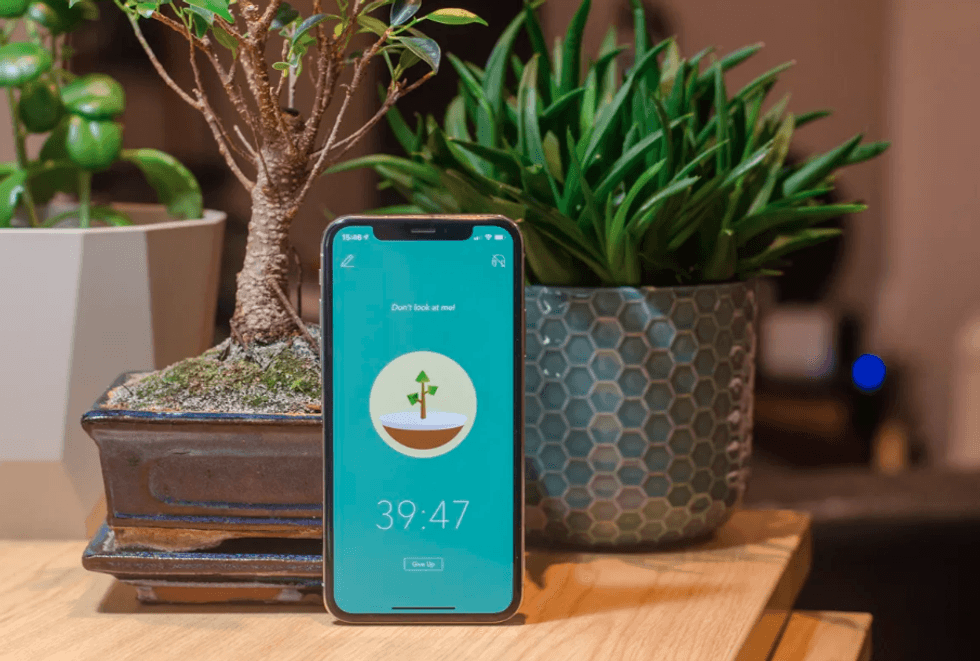 Forest app on an iPhone X