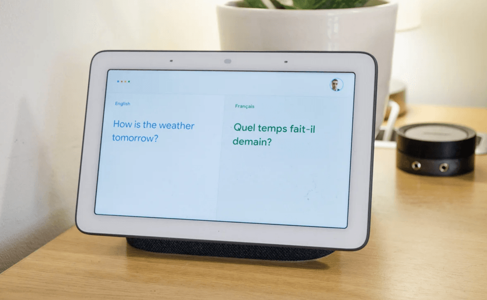 Google Assistant interpretation feature