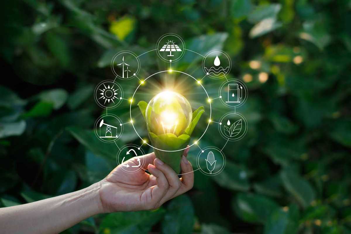hand holding light bulb against nature on green leaf with icons