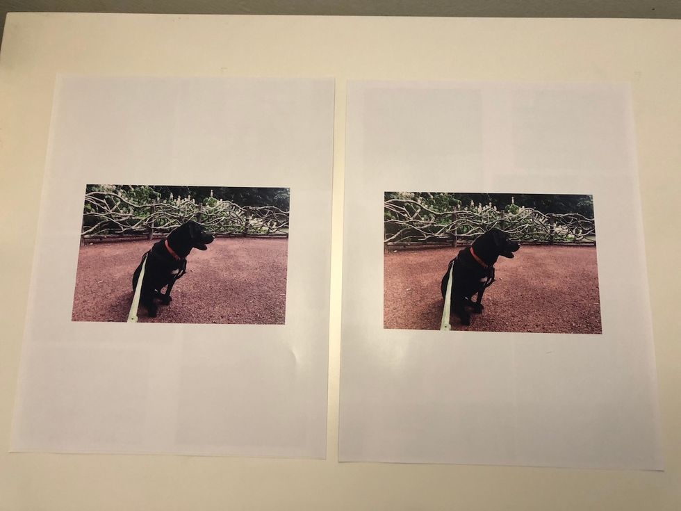 HP Envy 6055 vs HP OfficeJet 3830