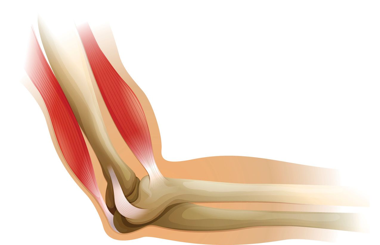 sensors elbow tendon