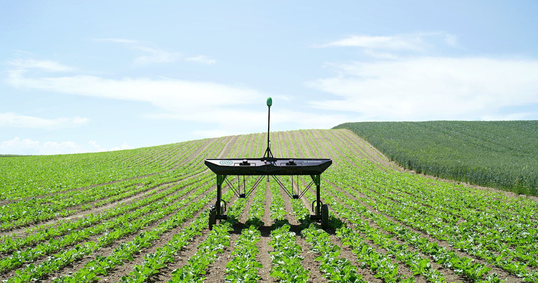 weeding robots ecoRobotix agtech farm agriculture