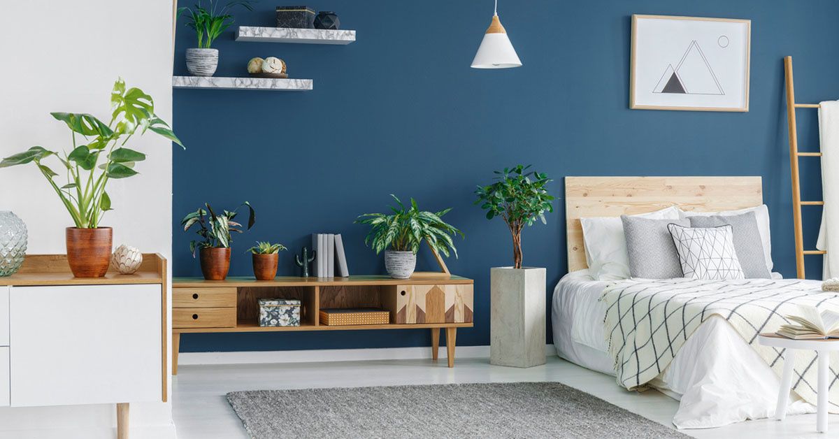 A blue bedroom is filled with plants and home decor