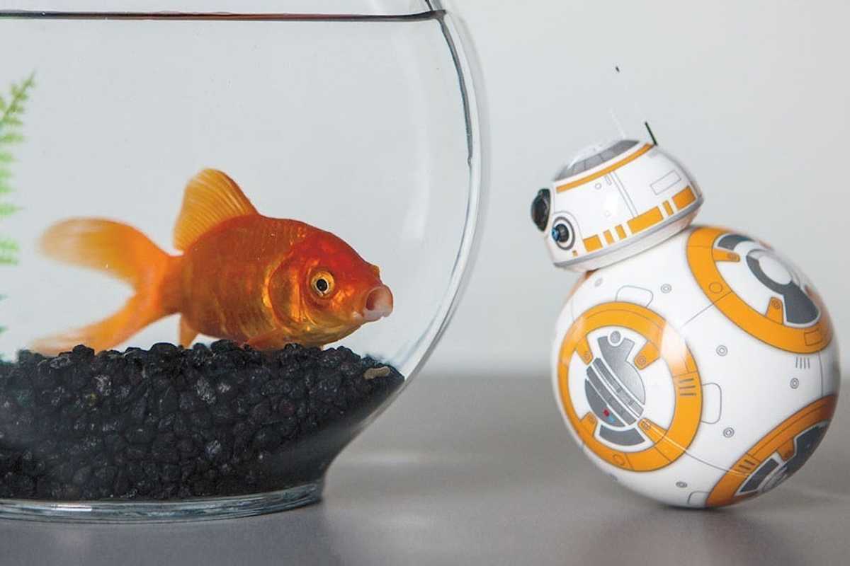 Tech Toys We Know Teens Want for the Holidays