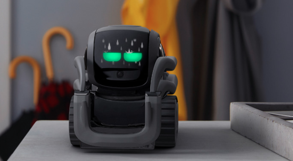 Photo of the Vector robot by Anki