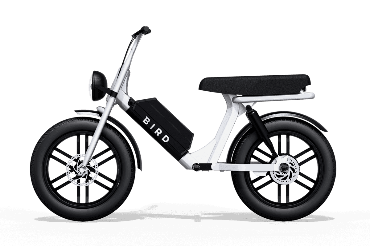 Meet the Bird Cruiser, an electric bicycle built for two
