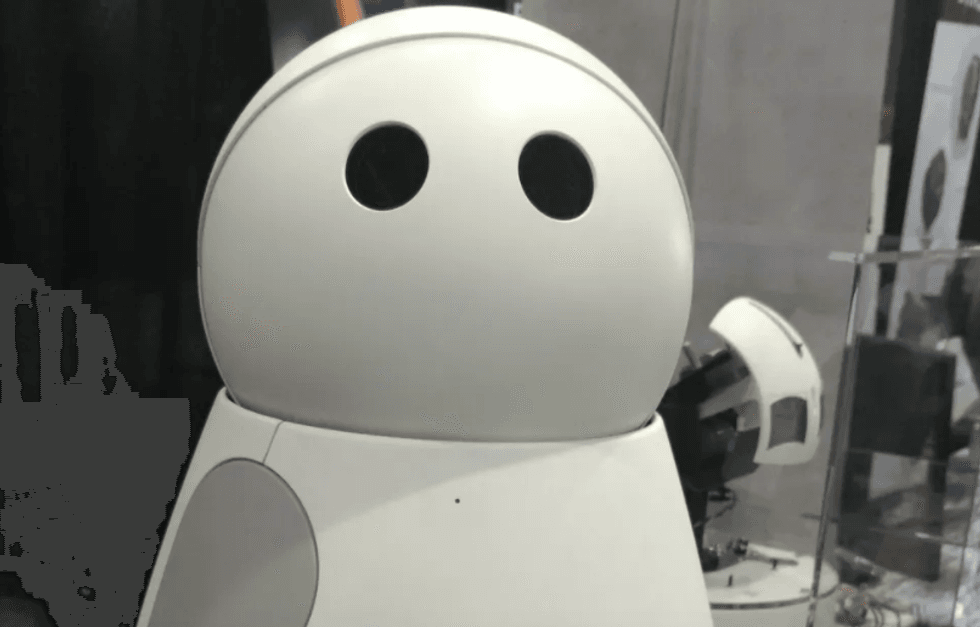 Kuri Robot from Mayfield Robotics