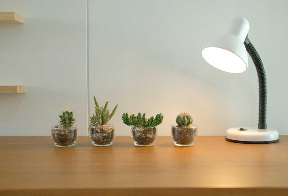 A DIY smart grow-light for just $37? Here's how to build one - Gearbrain