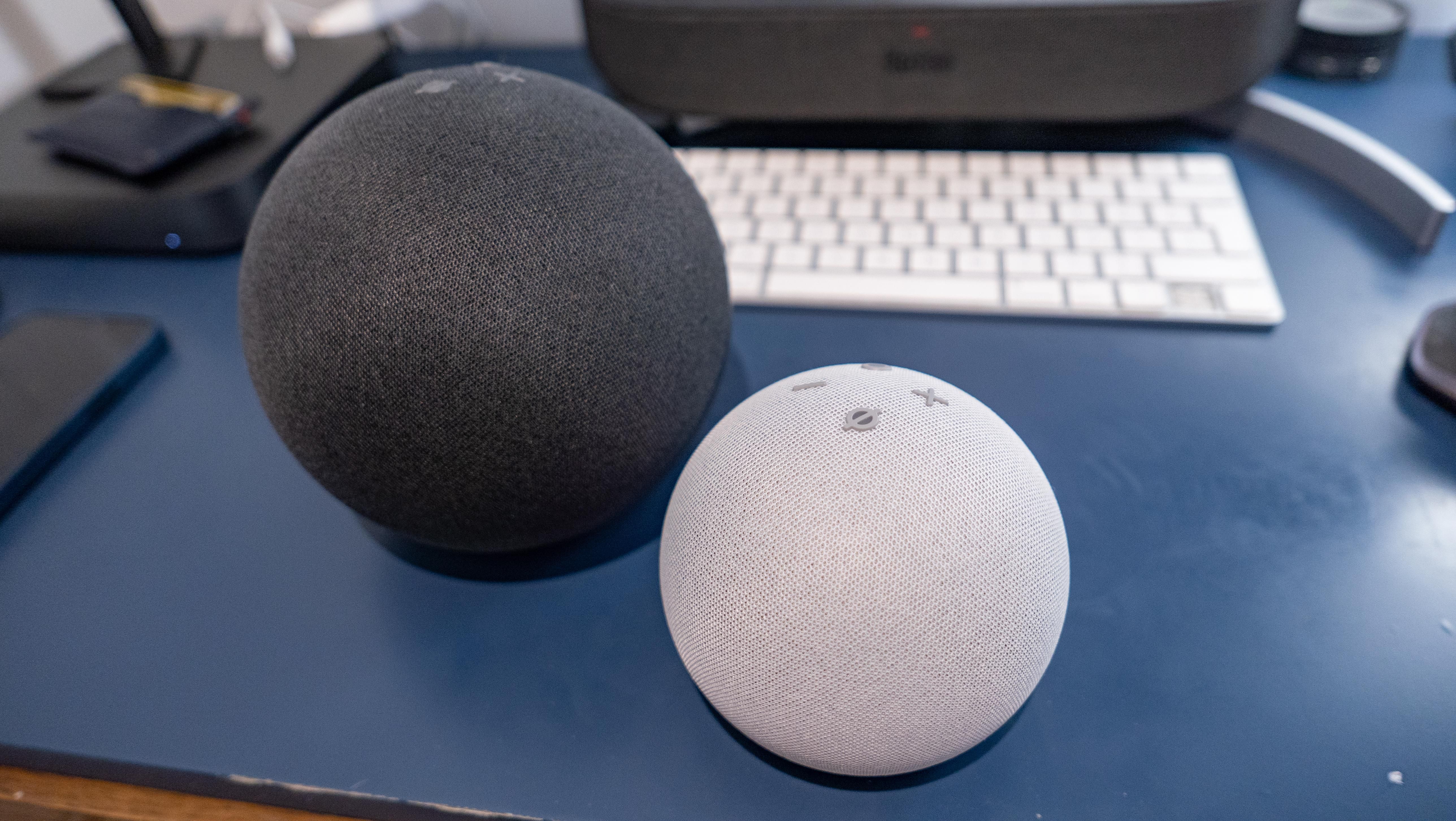 The Amazon Echo Dot (left) and Echo (right)