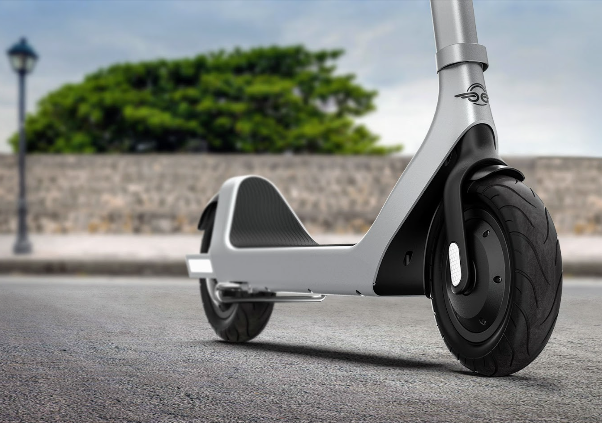 Bird electric scooter