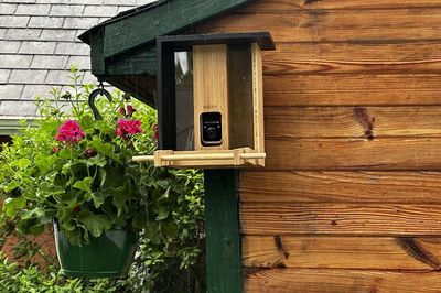 a photo of Birdfy Feeder Bamboo on a shed