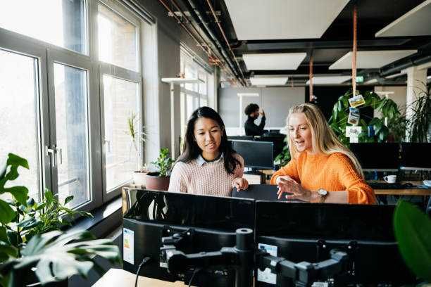 two business associates working at computer together - 20s office technology stock pictures, royalty-free photos & images