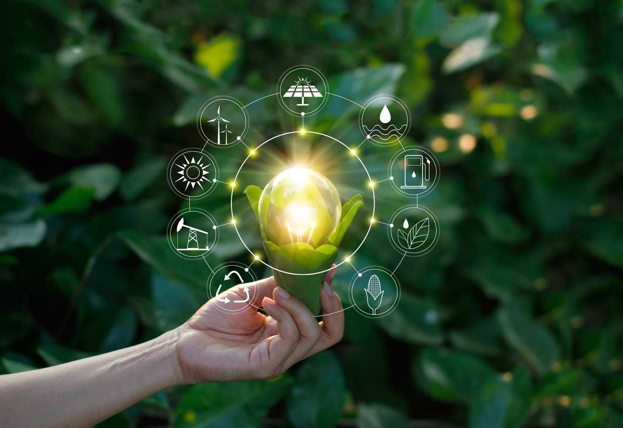 hand holding light bulb against nature on green leaf with icons