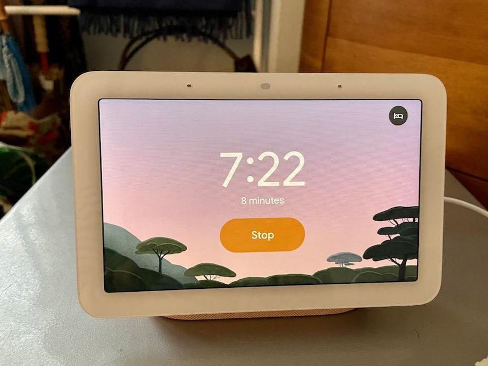 Google Nest Hub (2nd Gen) Vs. Nest Hub Max: Which Smart Display