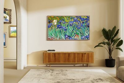 a photo of a room with Hisense CanvasTV on the wall