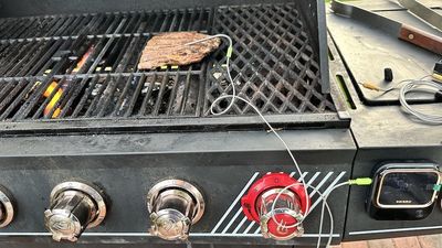 Inkbird smart meat thermometer cooking steak