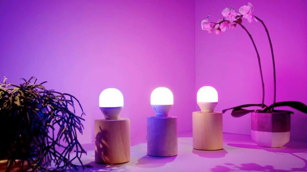 Lifx bulb online