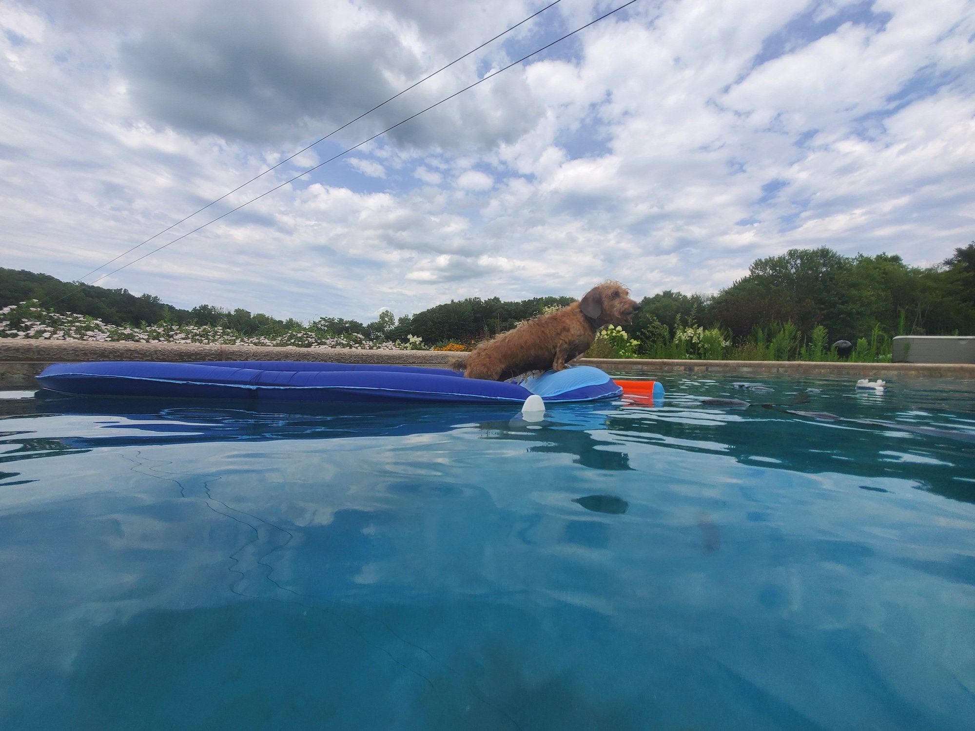 smartphone with pHin app and pHin iin a pool