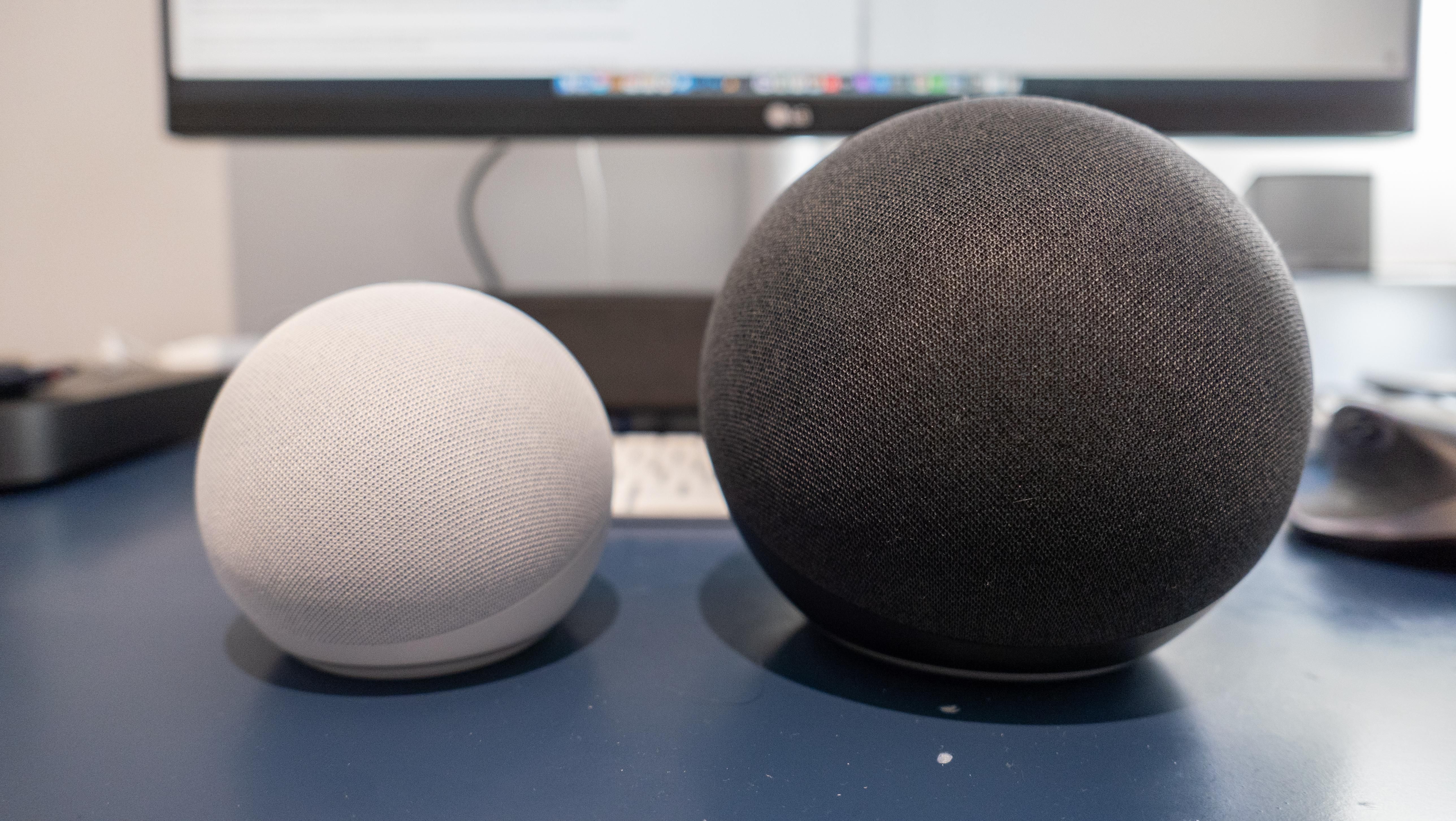 The Amazon Echo Dot (left) and Echo (right)​