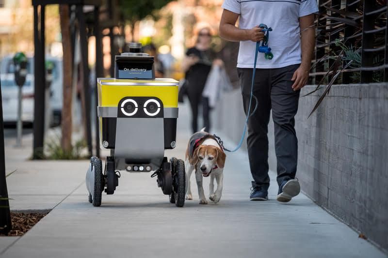 Serve Robotics delivery robot 