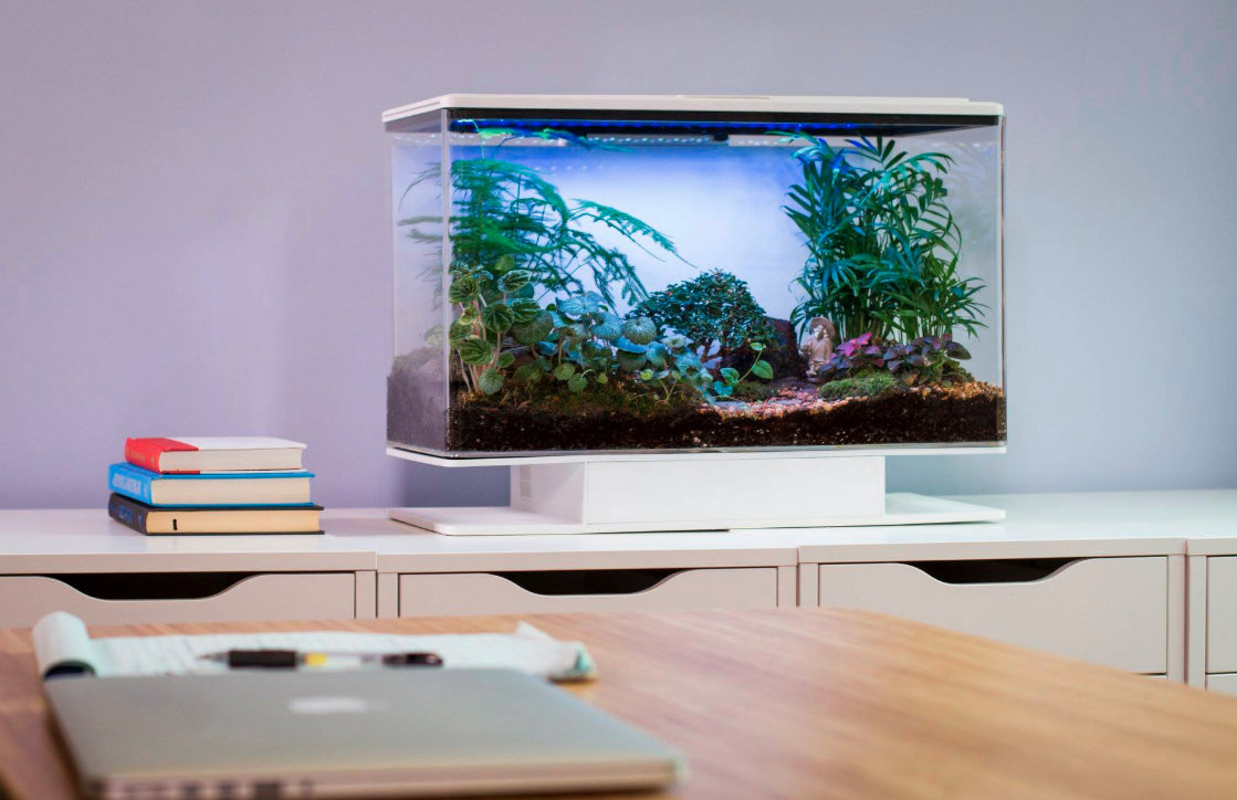 Photo of the SmartTerra indoor planter