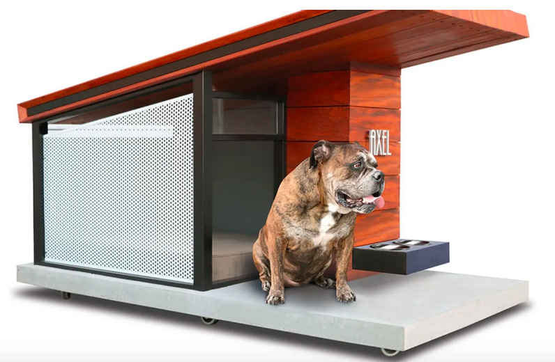 The solar condo with a dog seated on the porch