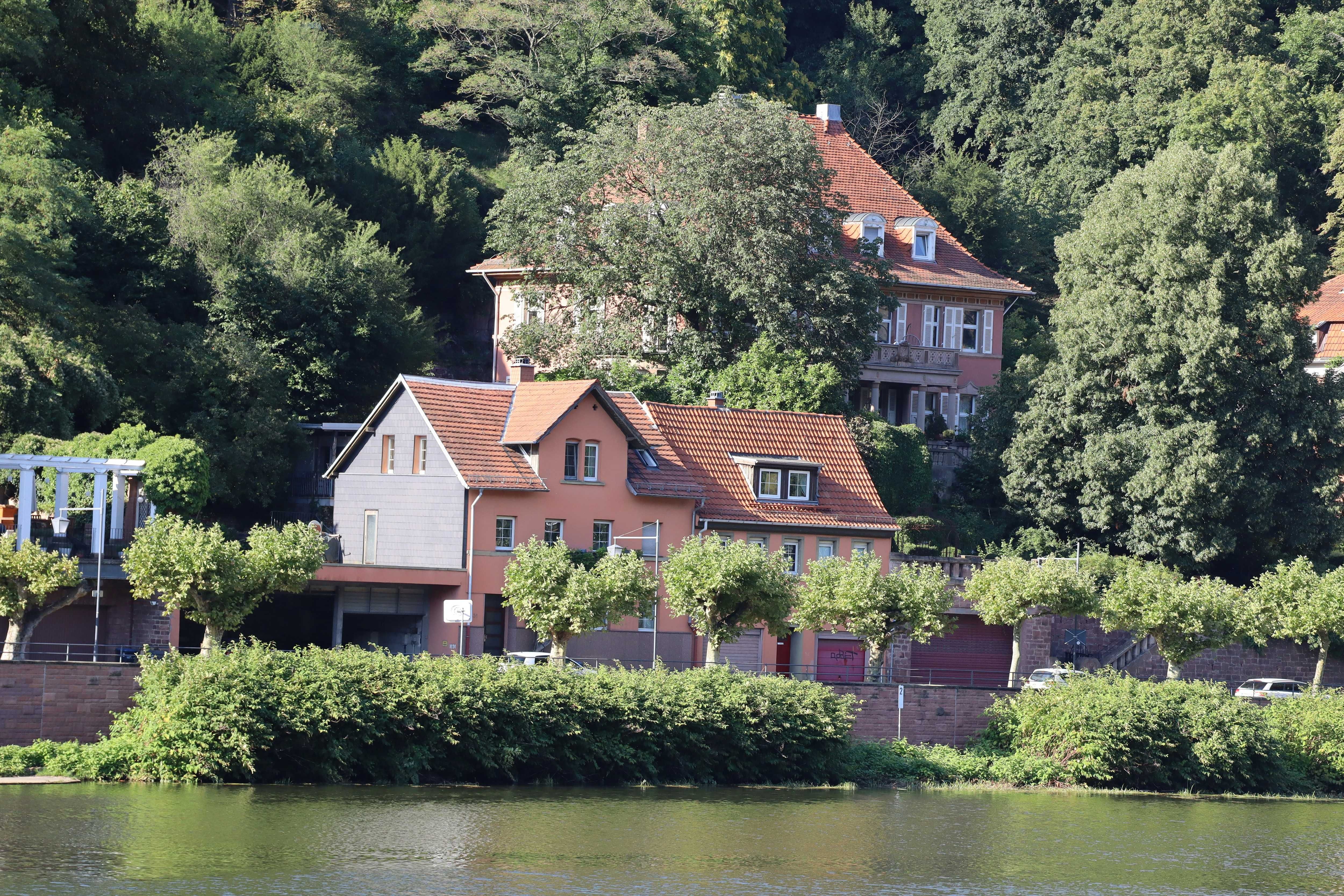 Houses nestled among trees by a calm river
