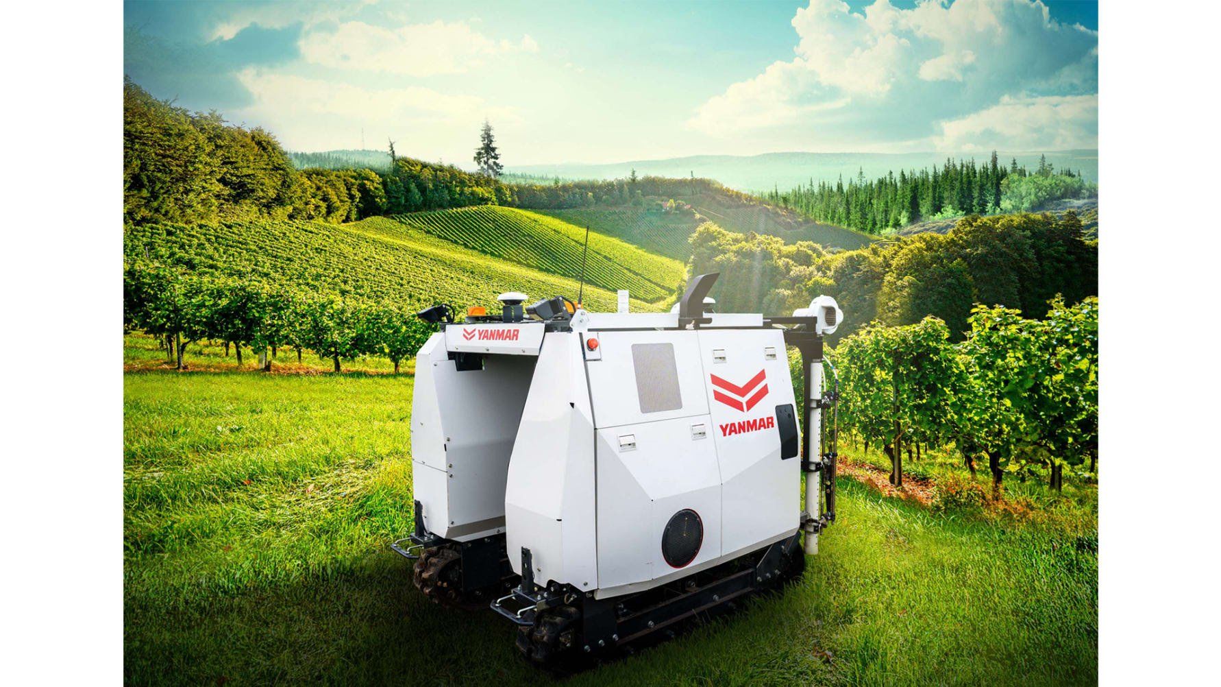 a photo of Yanmar YV01 autonomous smart spraying robot in a vineyard