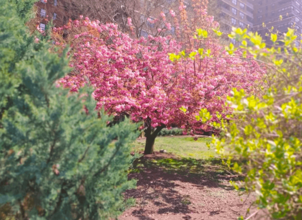 LG V60 photo