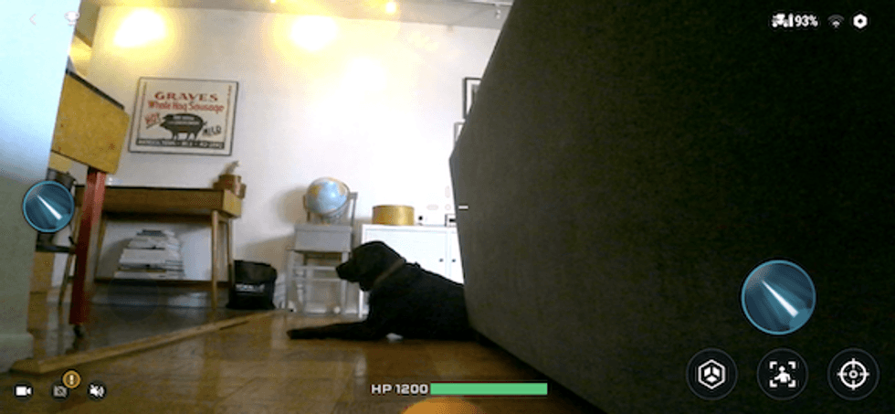 Looking through the camera view of the RoboMaster, a dog against a gray couch