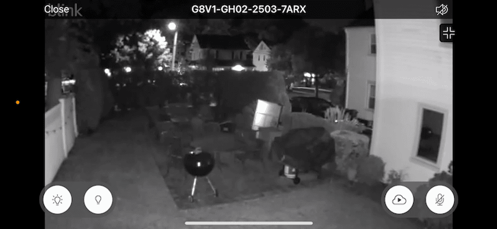 Night vision from the Blink app