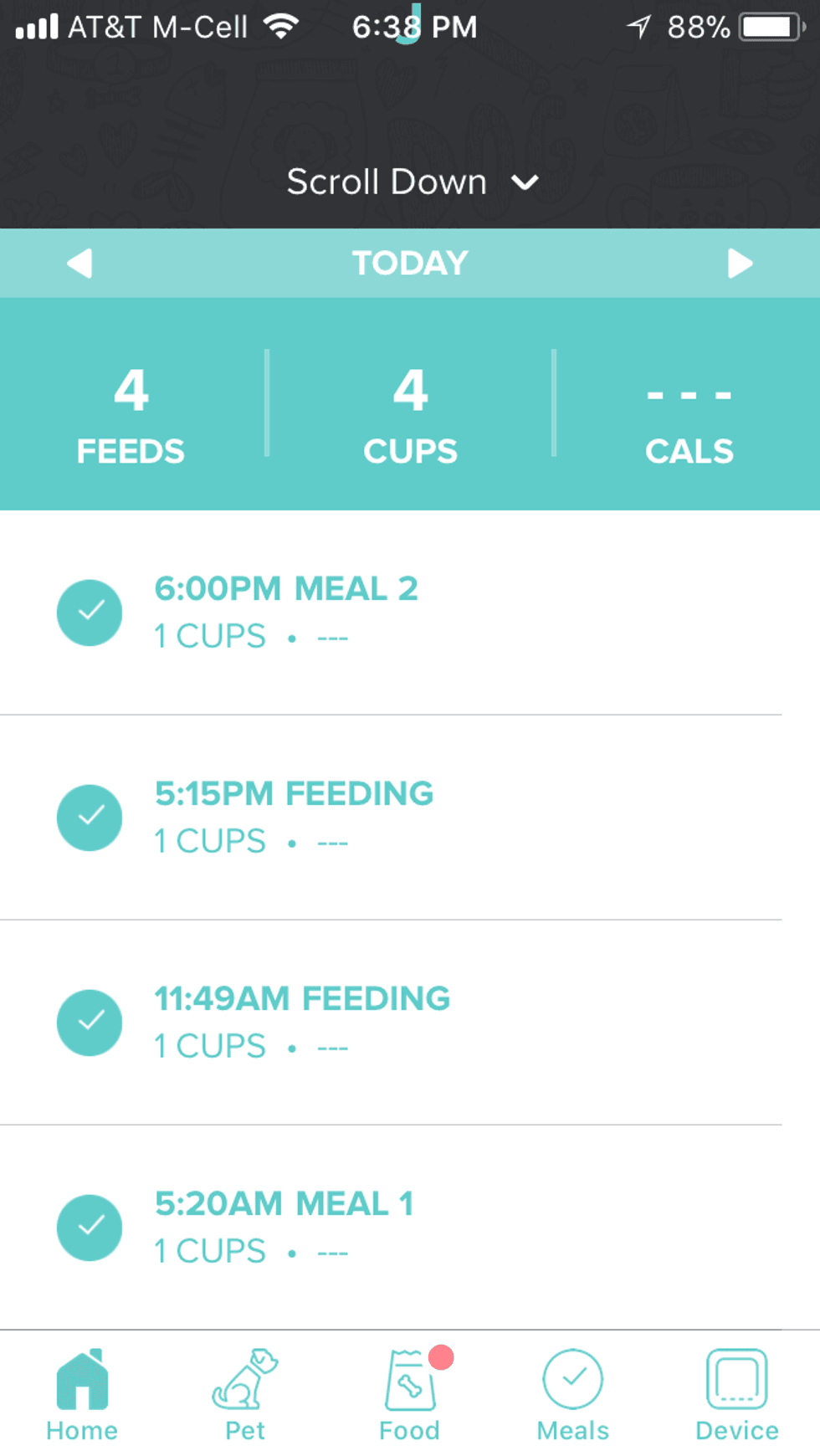 Petnet SmartFeeder review