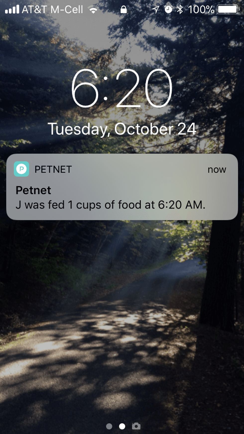 Petnet SmartFeeder