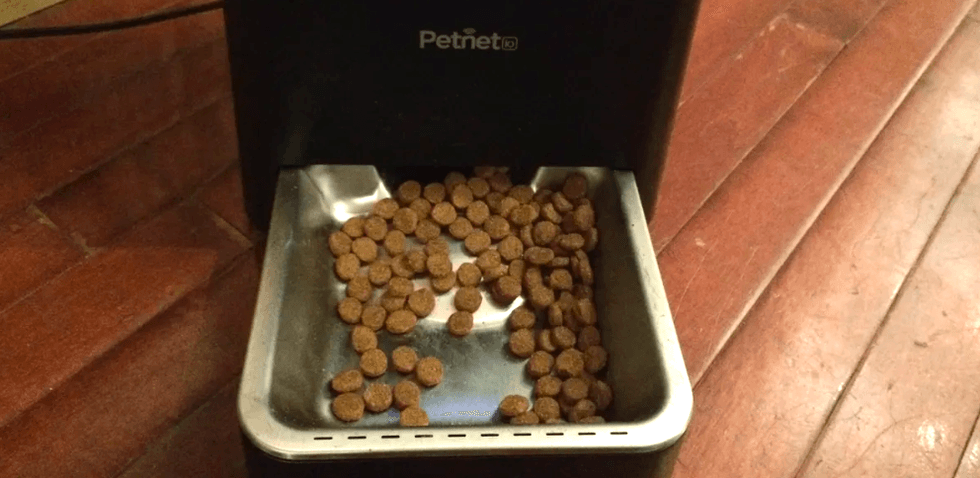 Petnet Smartfeeder